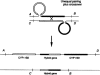 Fig. 12.