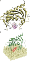 Fig. 4.