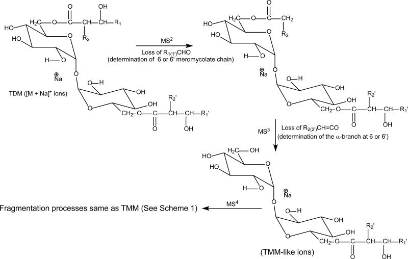 Scheme 2