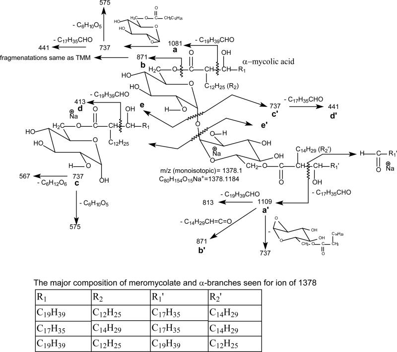 Scheme 3