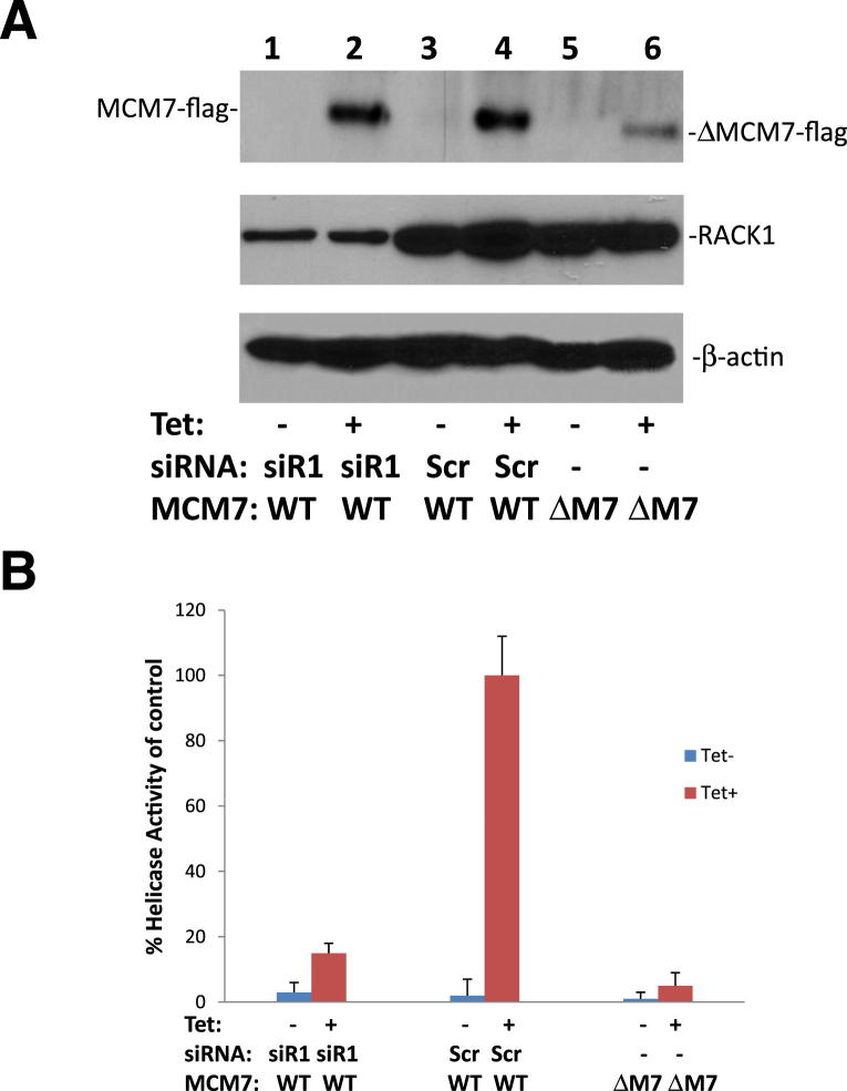 Figure 3