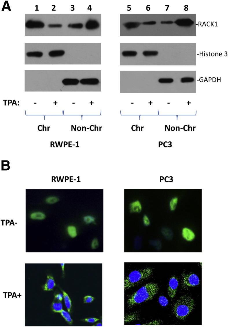 Figure 6