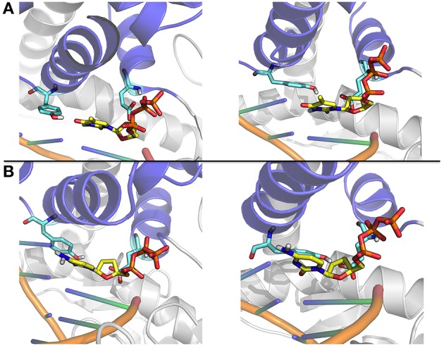 Figure 9