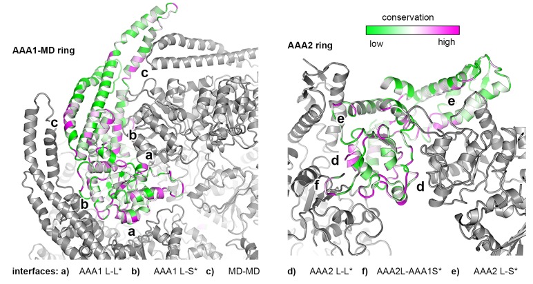 Figure 2—figure supplement 3.