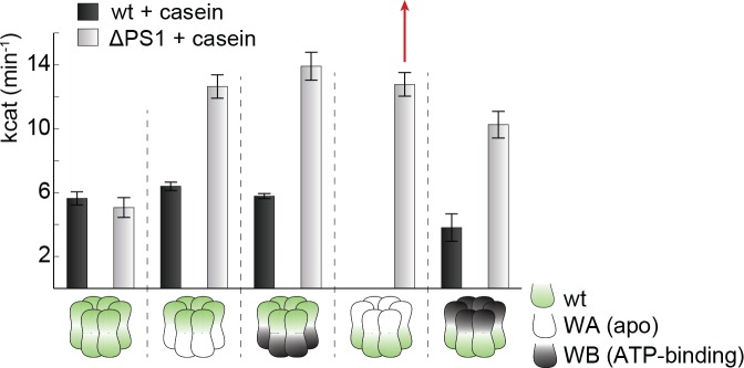 Figure 6—figure supplement 4.