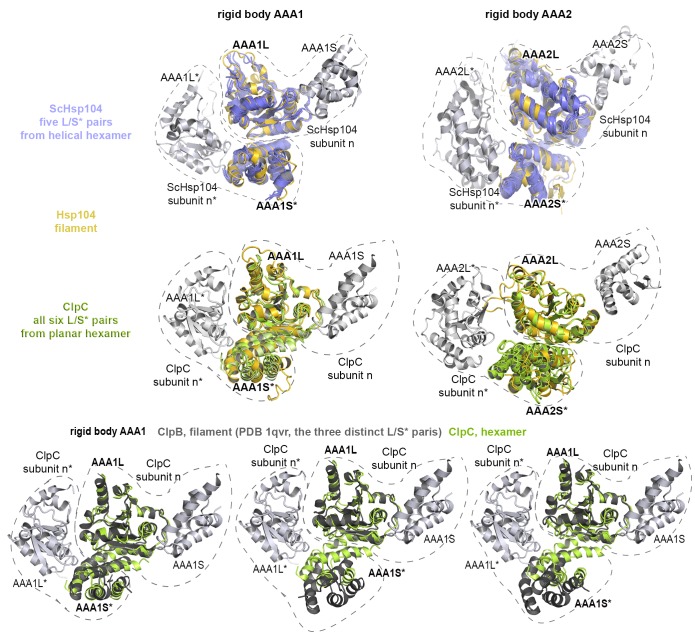 Figure 2—figure supplement 2.