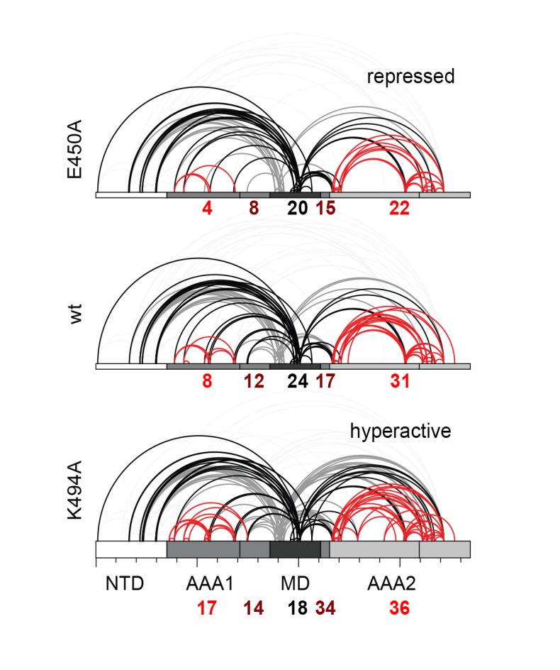 Figure 4—figure supplement 2.