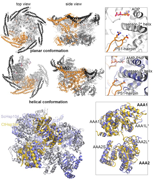 Figure 6—figure supplement 2.