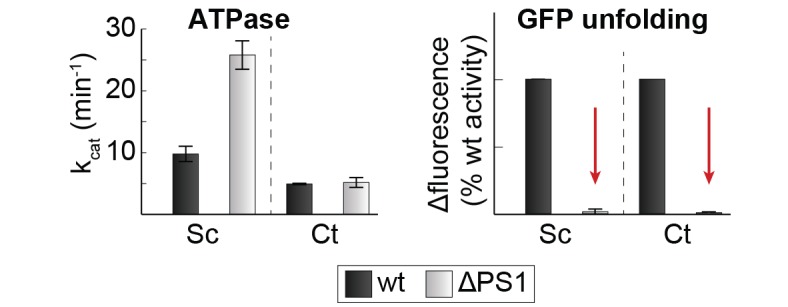 Figure 6—figure supplement 1.