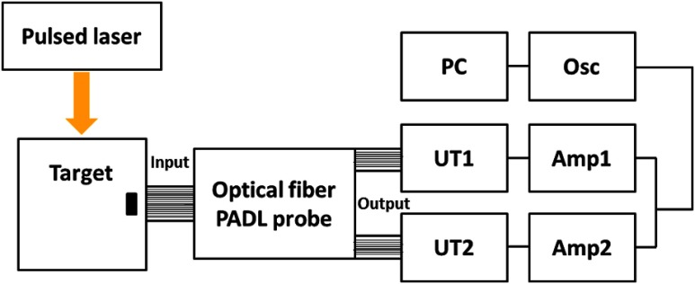 Fig. 5