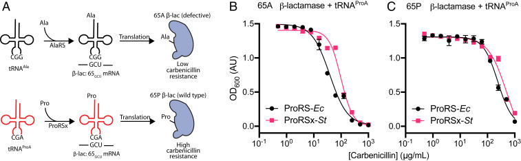 Fig. 4.