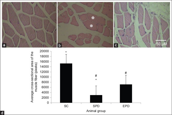 Figure-3