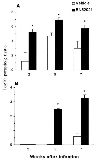 FIG. 6