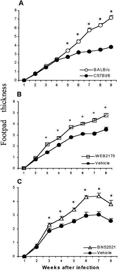 FIG. 5