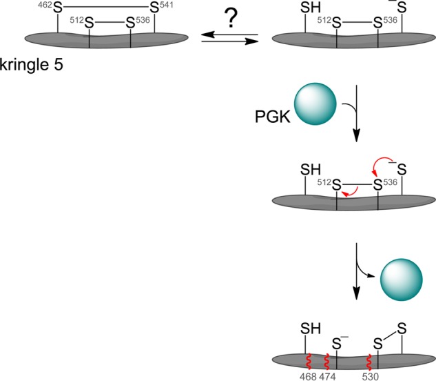 FIGURE 5.