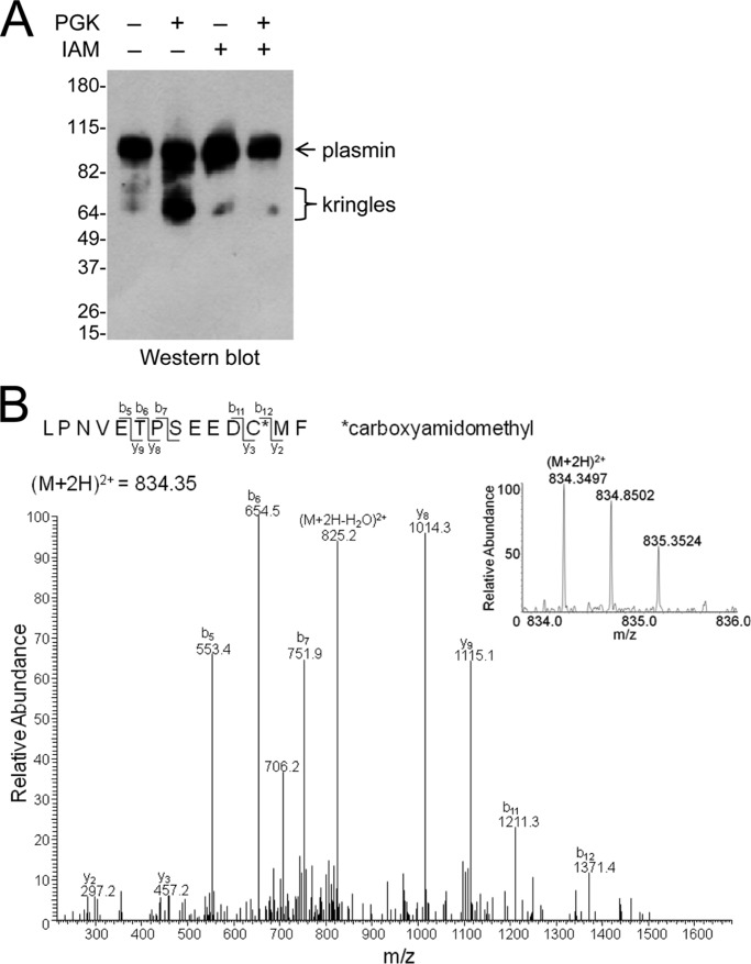 FIGURE 4.