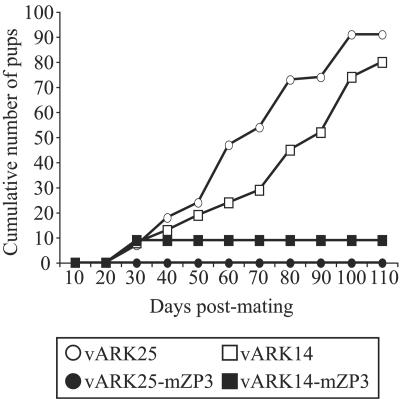 FIG. 7.