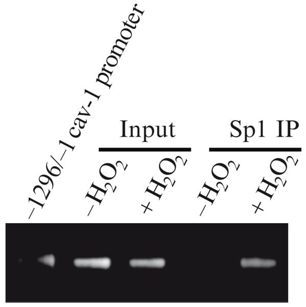 Fig. 29.3