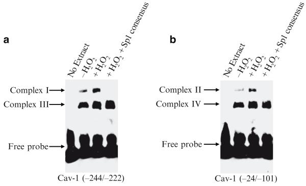 Fig. 29.2