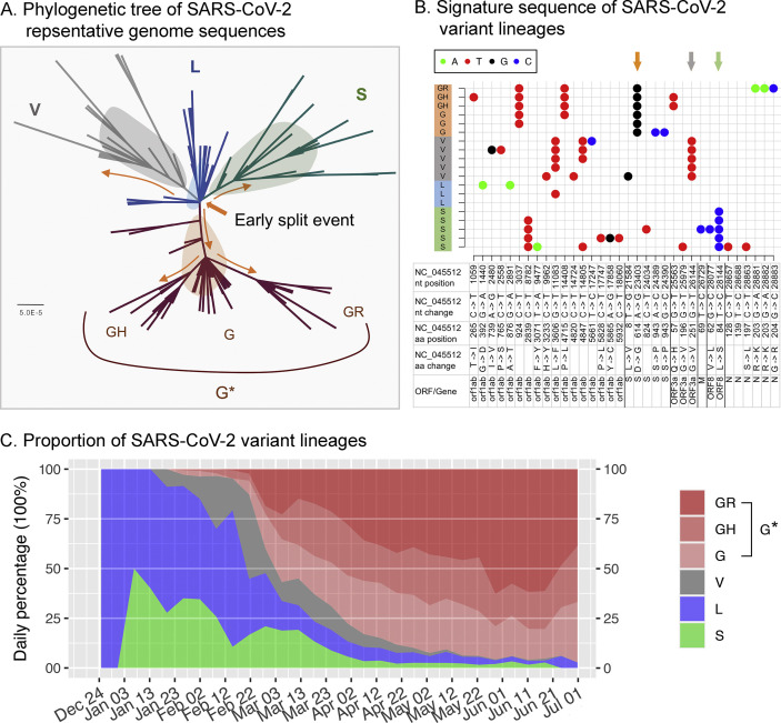 Fig. 2