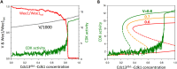 FIGURE 5:
