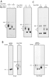 FIG. 4.