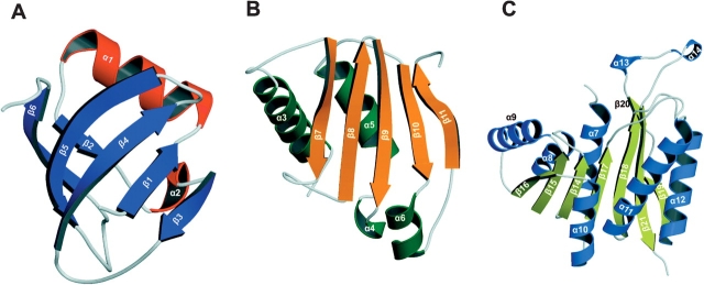 Figure 2.