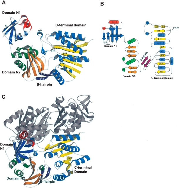 Figure 1.