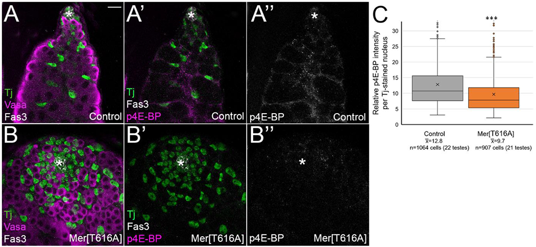 Figure 6: