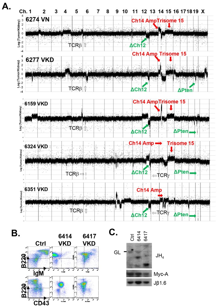 Figure 2—figure supplement 2.