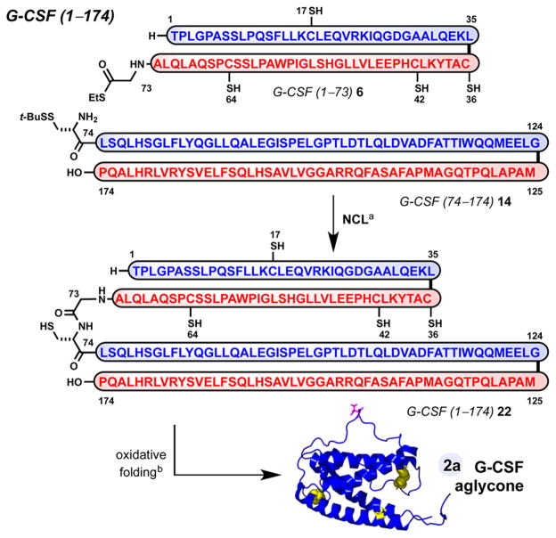 Scheme 4