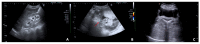 Figure 8