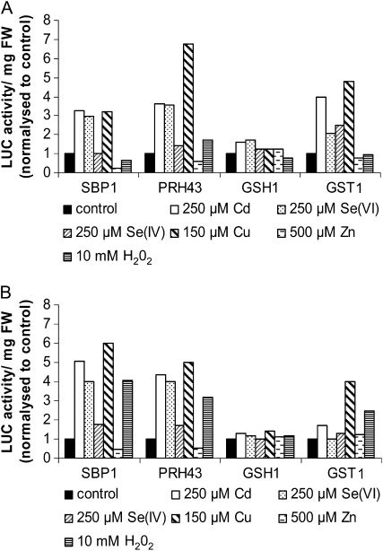 Figure 6.