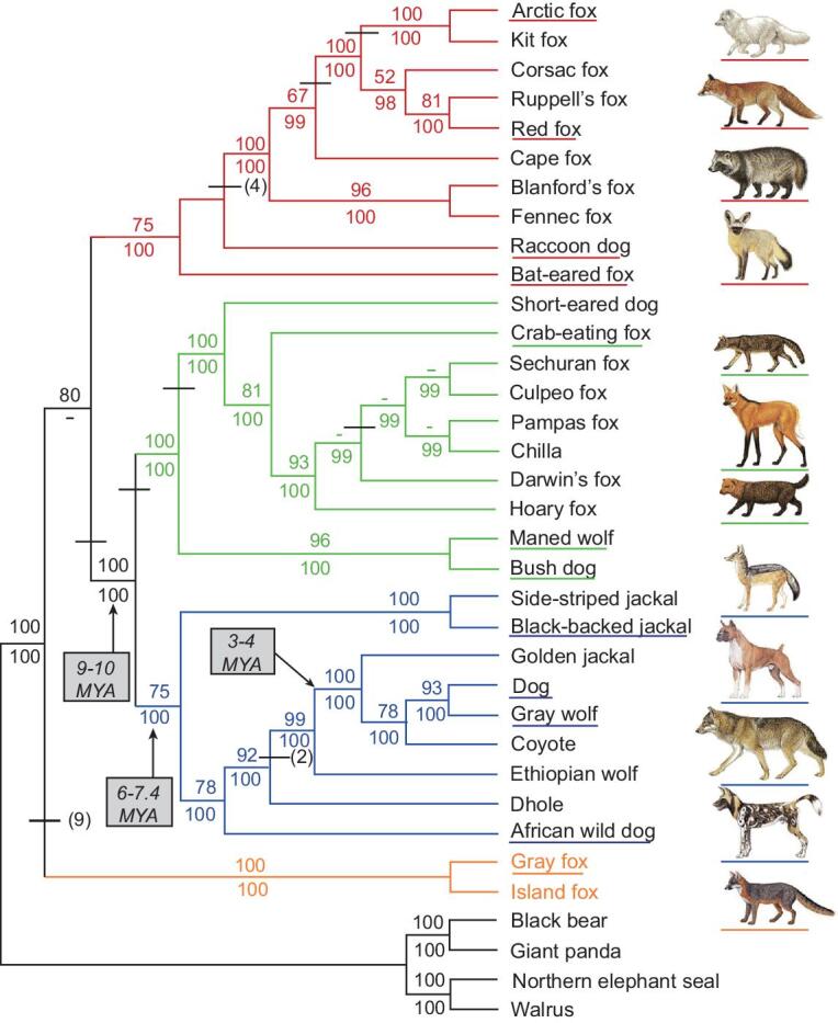 Figure 2.