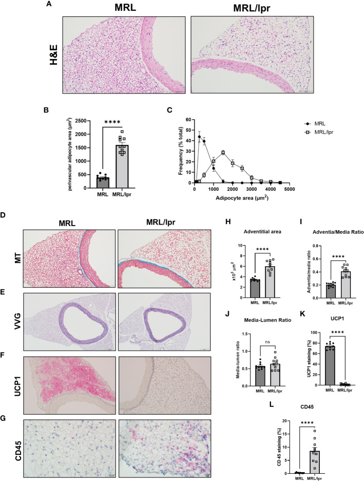 Figure 5