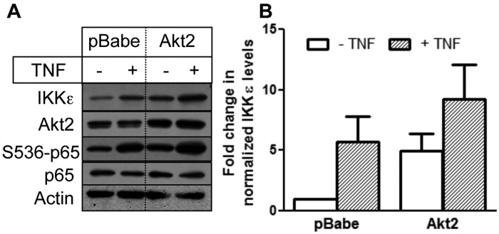 Figure 4.