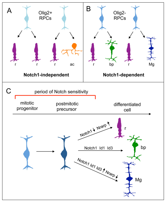 Fig. 7.