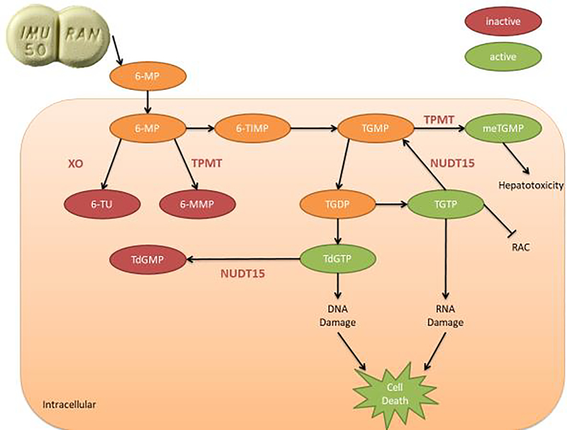 Fig 1: