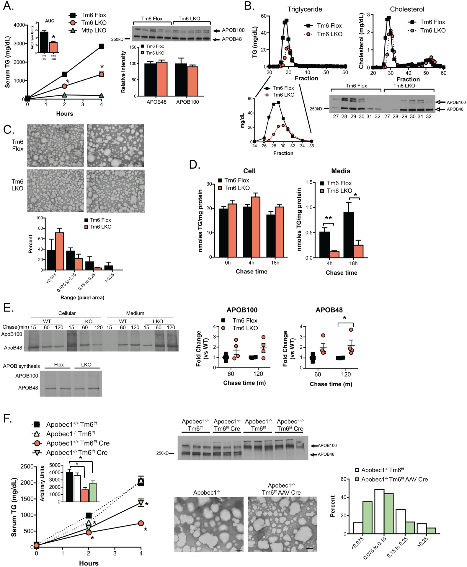 Figure 3: