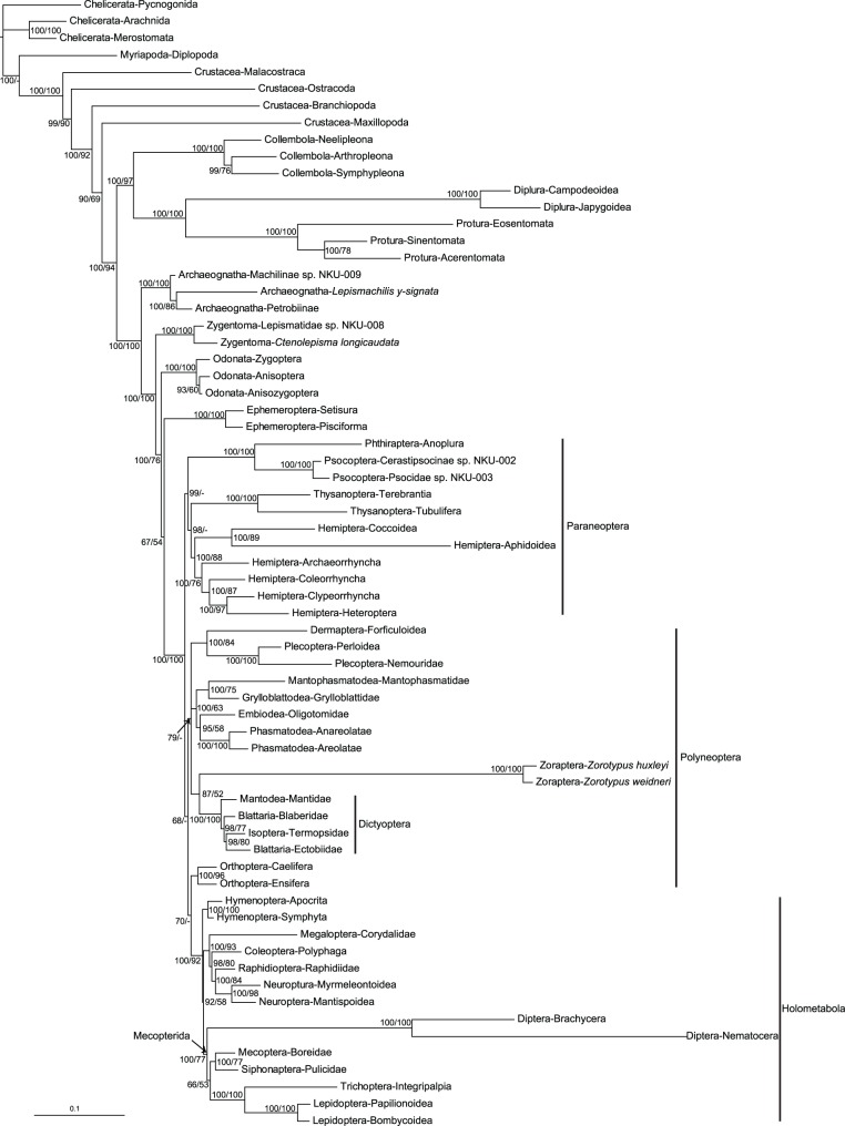 Figure 2