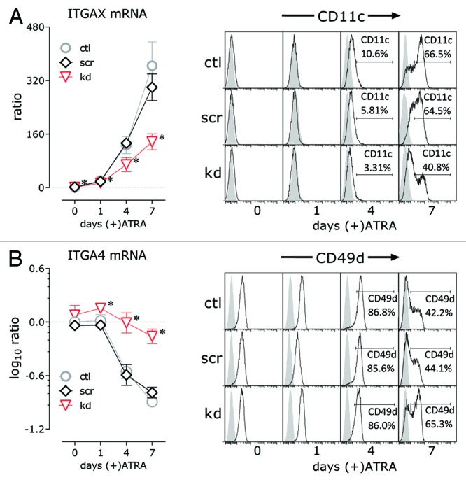 graphic file with name rna-11-777-g4.jpg