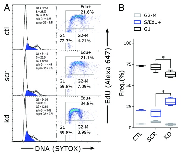 graphic file with name rna-11-777-g3.jpg