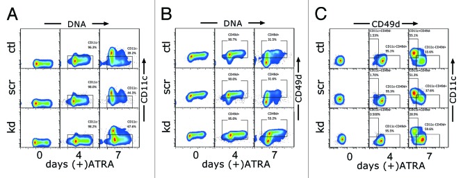 graphic file with name rna-11-777-g5.jpg