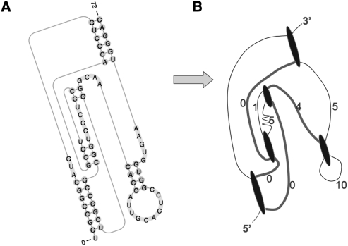 FIGURE 10.