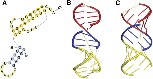 FIGURE 5.