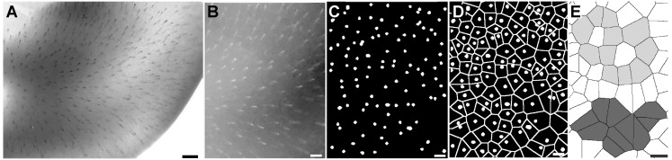 Figure 13