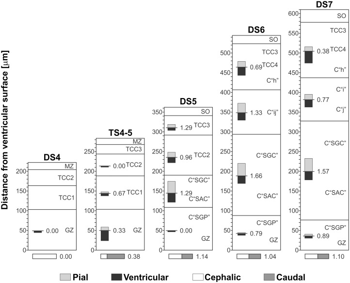 Figure 16