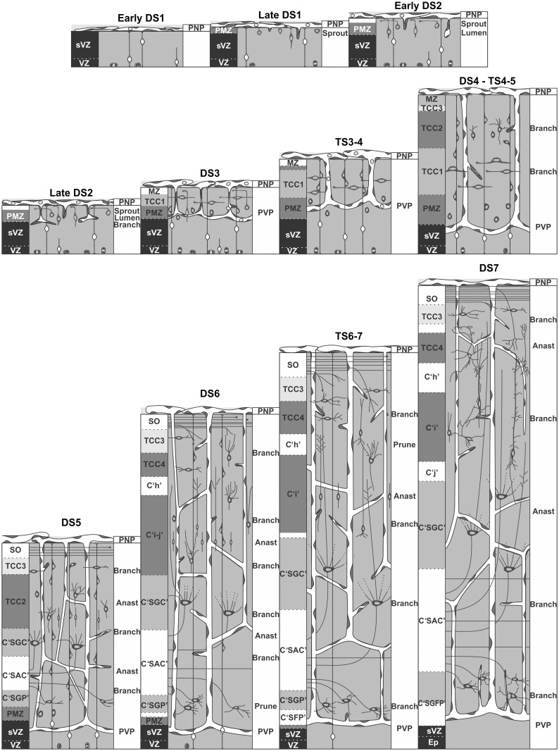 Figure 17