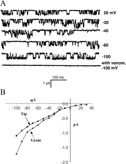 Figure 3.