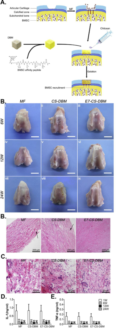 Figure 11.